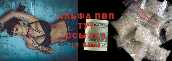 ПСИЛОЦИБИНОВЫЕ ГРИБЫ Грязовец