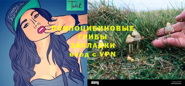 стафф Зеленодольск