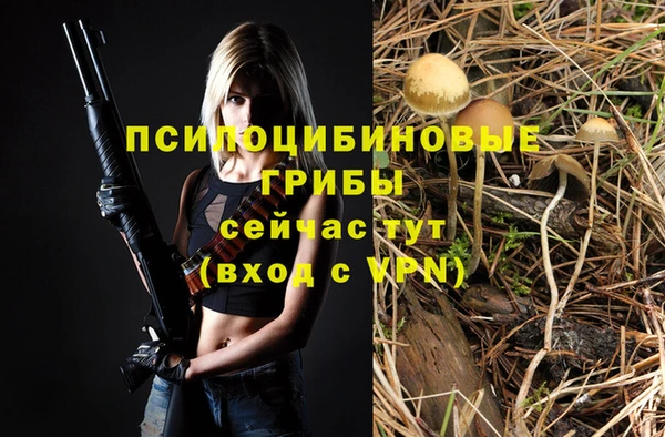 PSILOCYBIN Зеленокумск