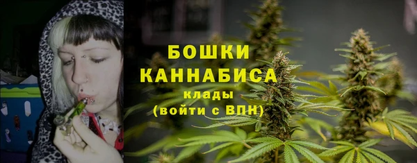 PSILOCYBIN Зеленокумск