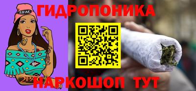 стаф Кулебаки