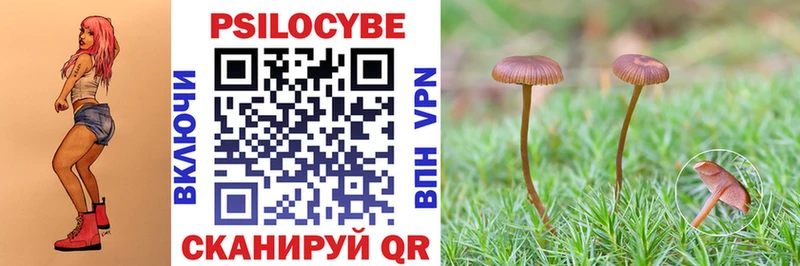 Галлюциногенные грибы Cubensis  кракен как зайти  Калач-на-Дону 